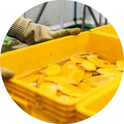 Agriculture & Agro Business