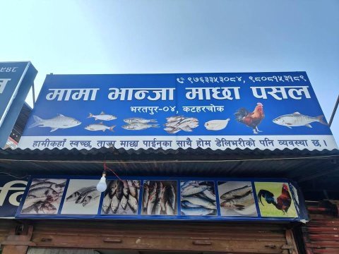 Fresh fish 🐟 shop on sell